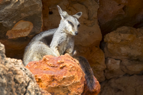 karijini ningaloo photo tour example 30